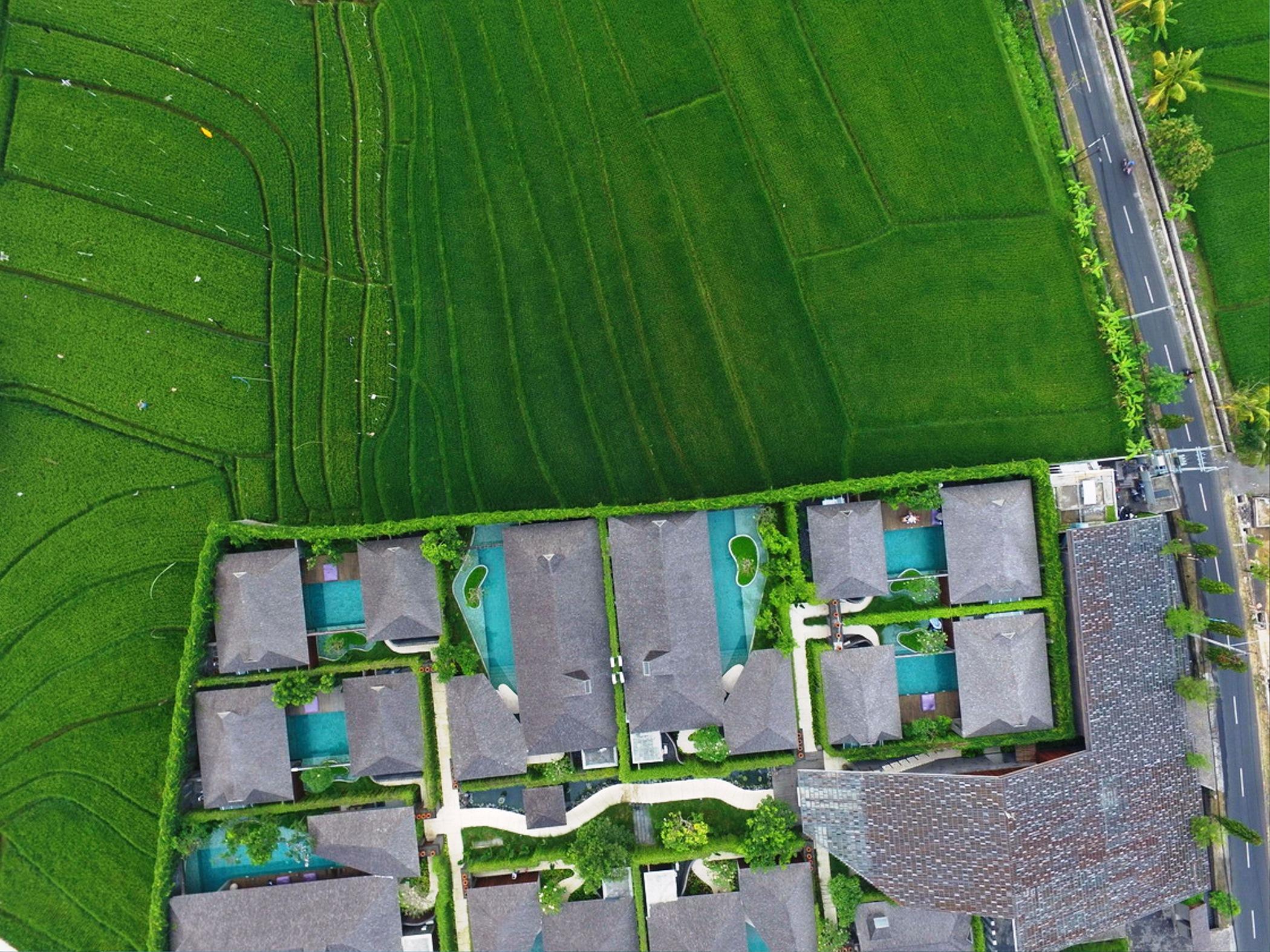 The Santai By Lifestyleretreats Villa Canggu Exteriör bild